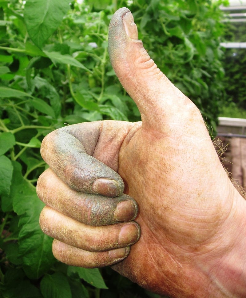 Green Thumbs